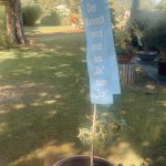 freie-trauung-in-der-baumschule-lorenz-3 Freie Trauung in der Baumschule Lorenz von Ehren in Gilching